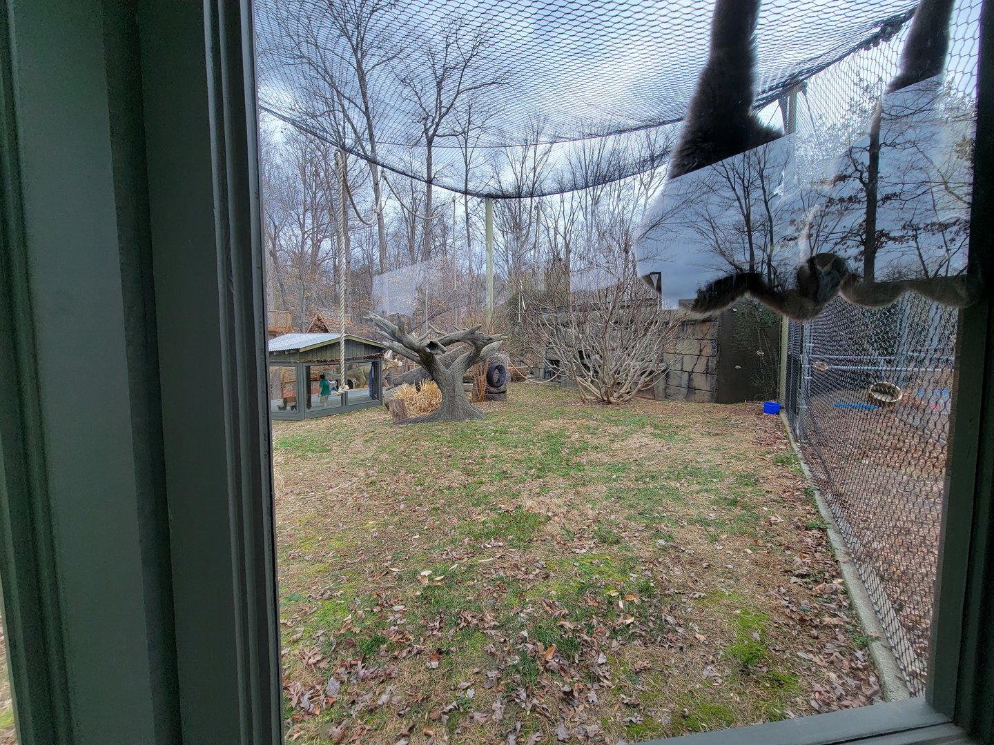 Greensboro 2/2023 - Javan gibbons