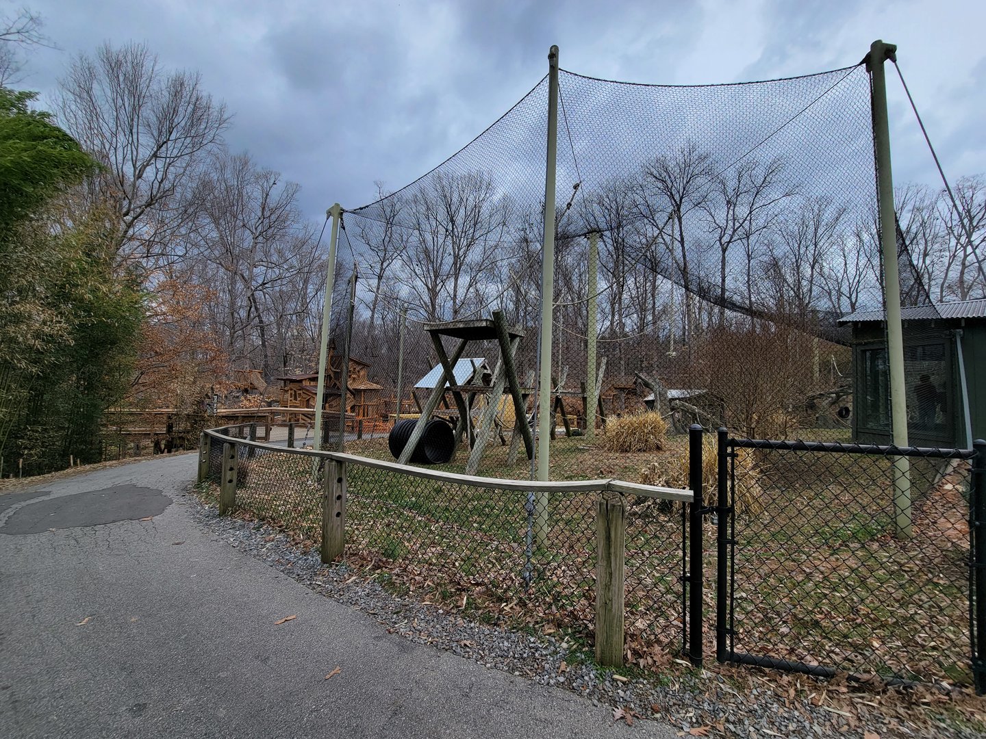 Greensboro 2/2023 - Javan gibbons