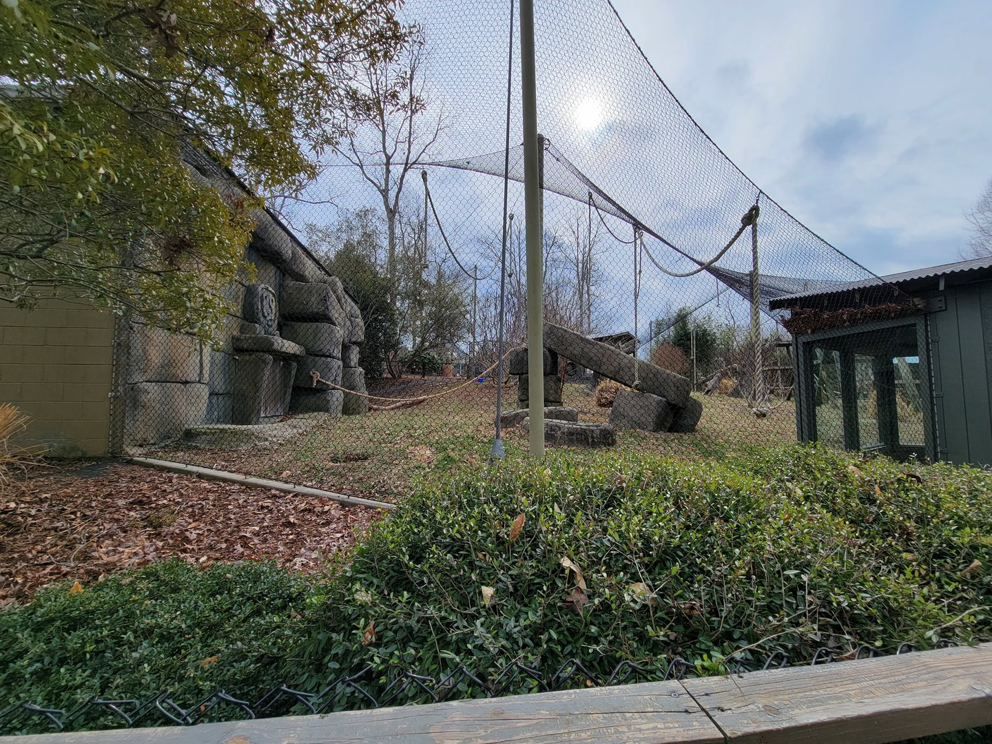 Greensboro 2/2023 - Javan gibbons