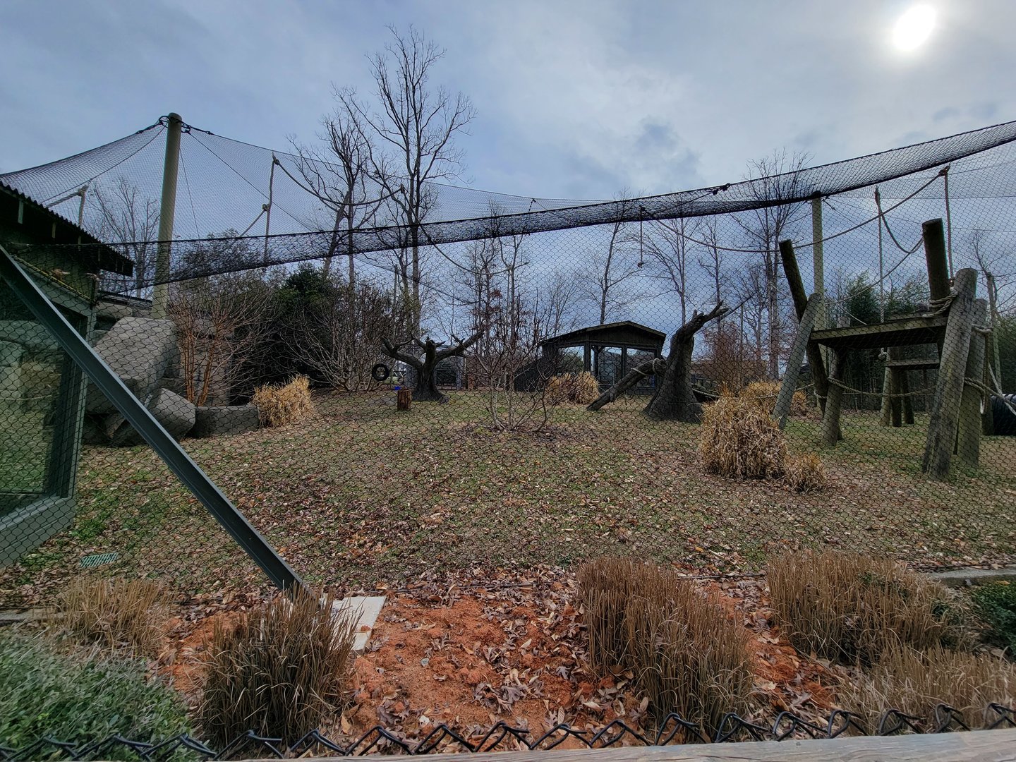 Greensboro 2/2023 - Javan gibbons