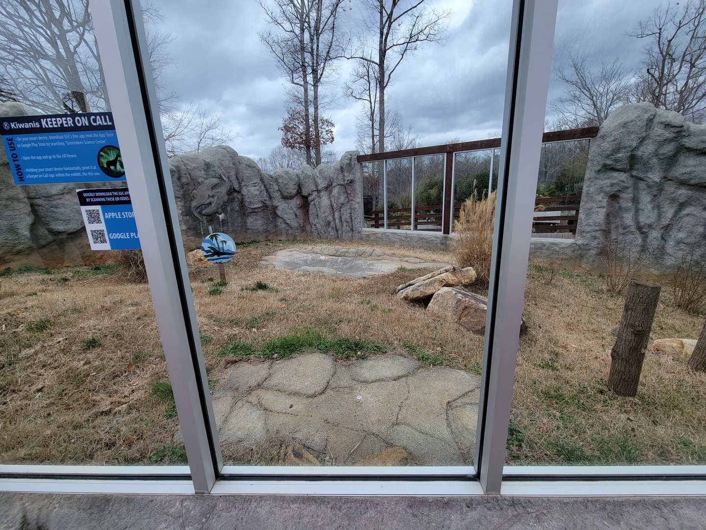 Greensboro 2/2023 - Komodo dragon yard