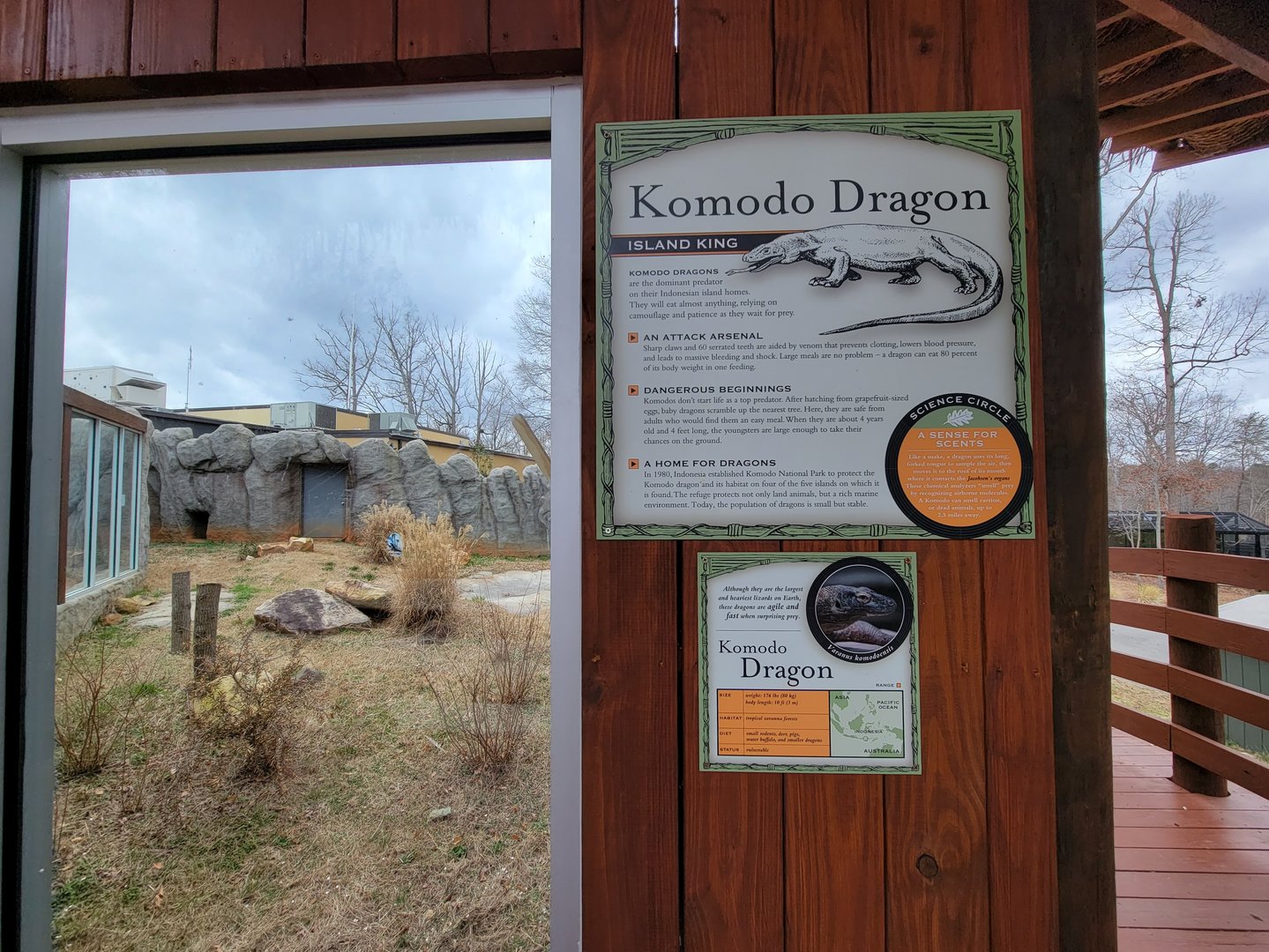Greensboro 2/2023 - Komodo dragon yard