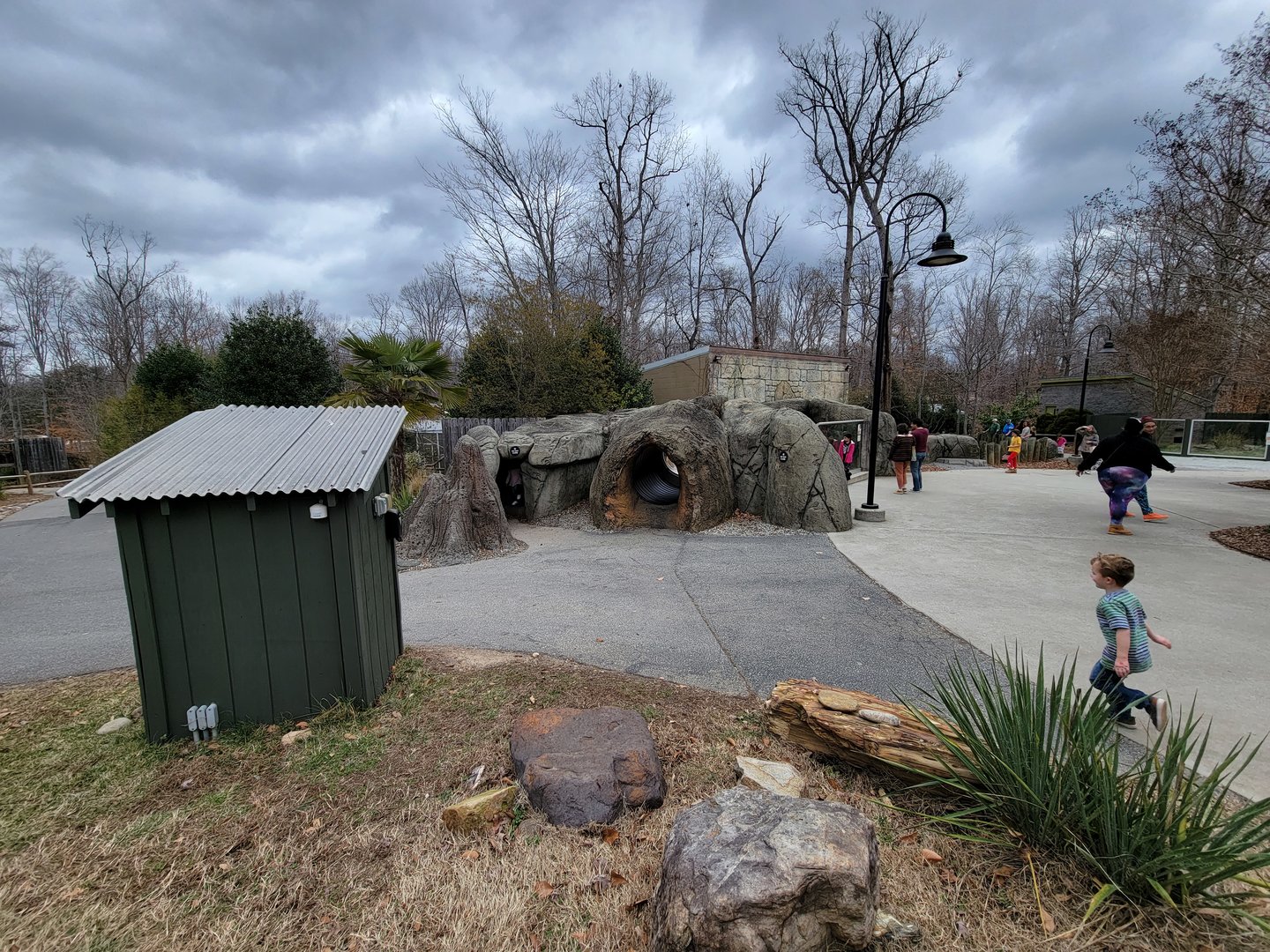 Greensboro 2/2023 - Meerkats