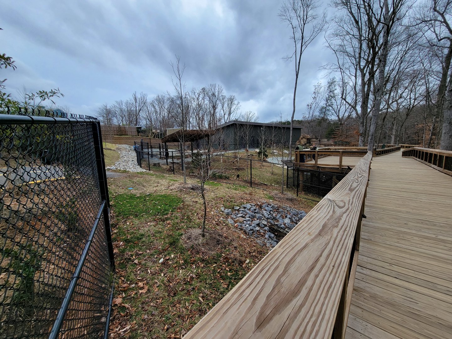 Greensboro 2/2023 - Okapi and Southern ground hornbill