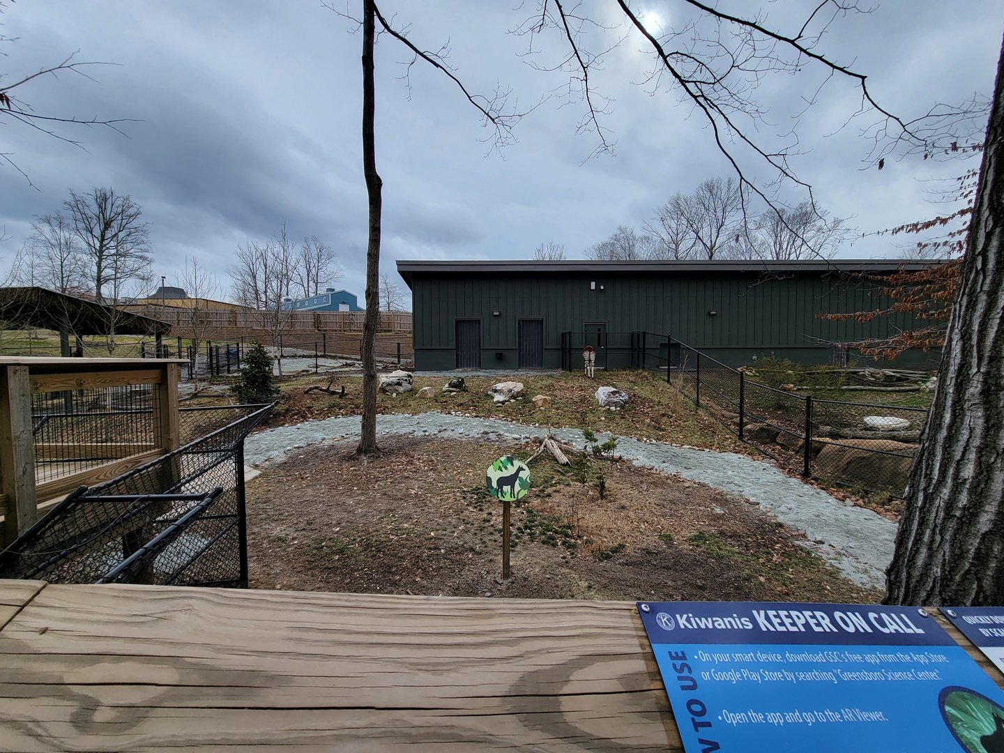 Greensboro 2/2023 - Okapi and Southern ground hornbill