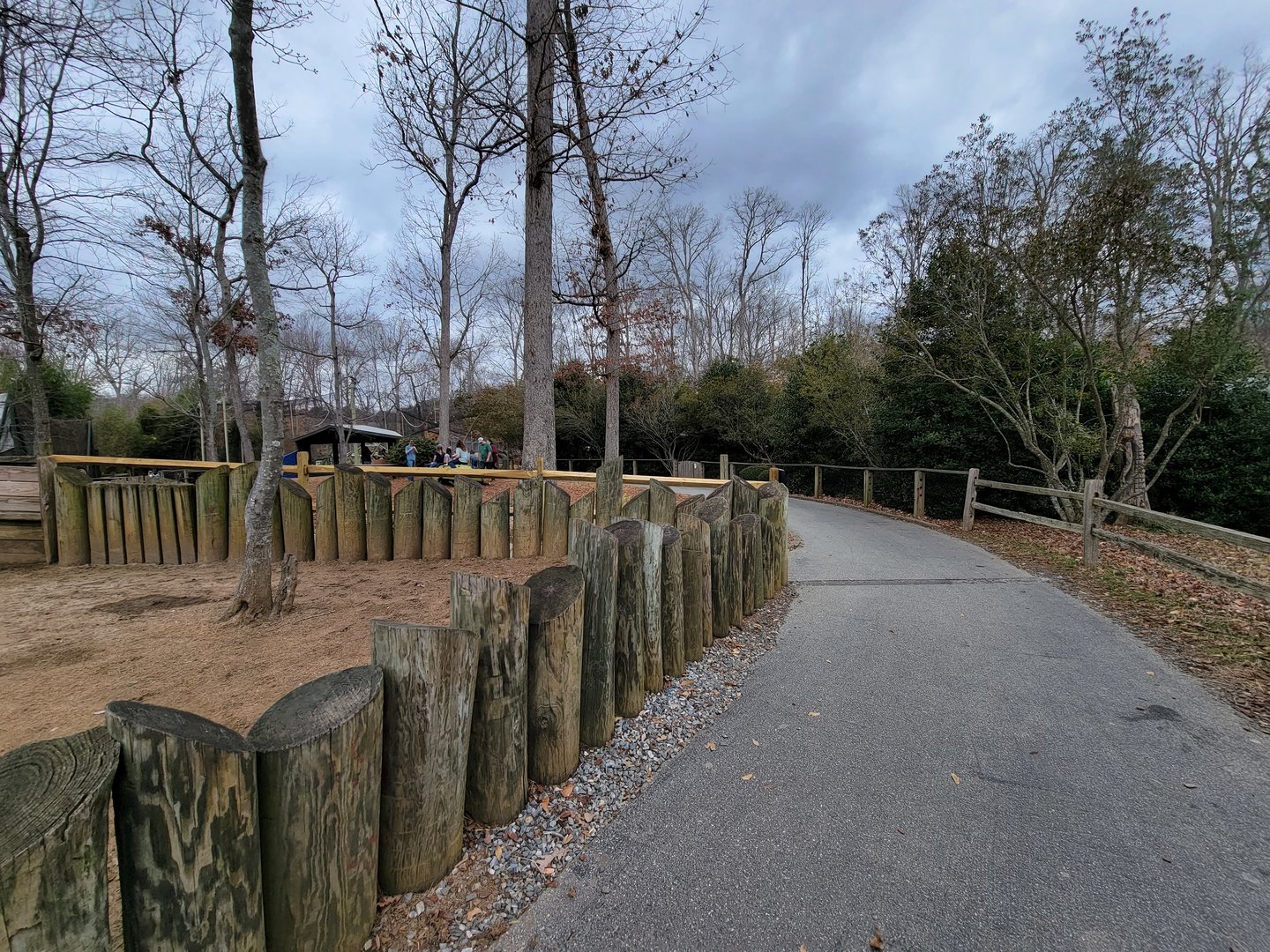 Greensboro 2/2023 - Path past Aldabras