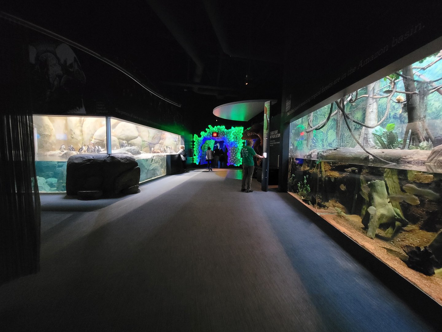 Greensboro 2/2023 - Path to fish, penguins on left, Amazon on right