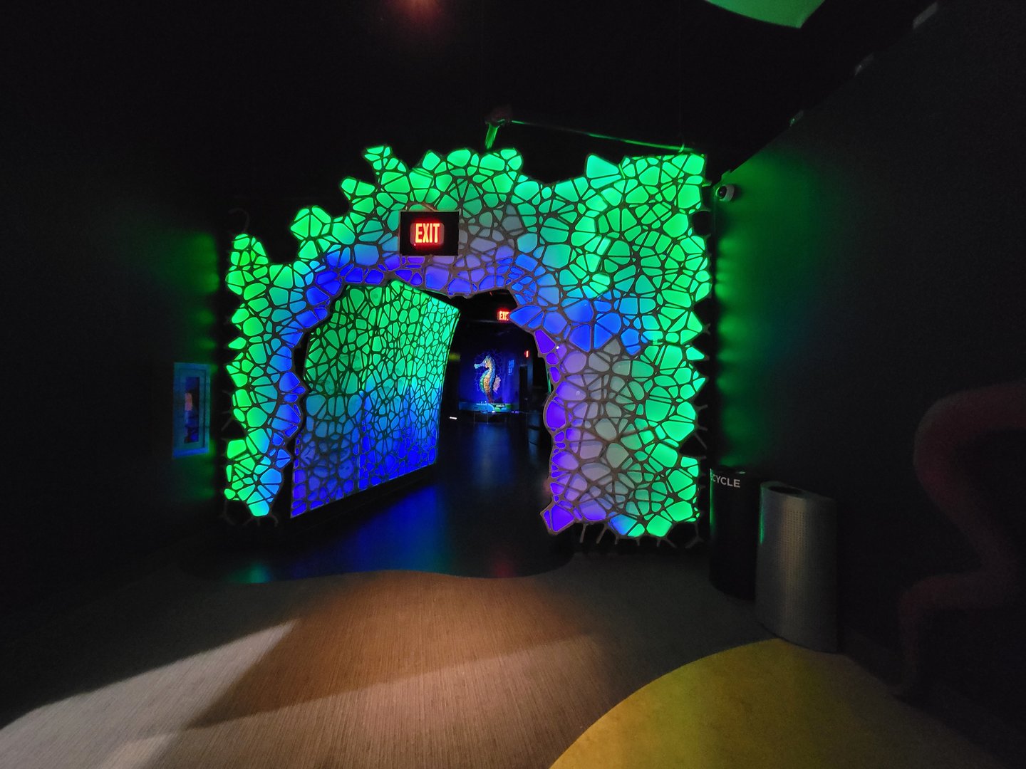 Greensboro 2/2023 - Path to fish