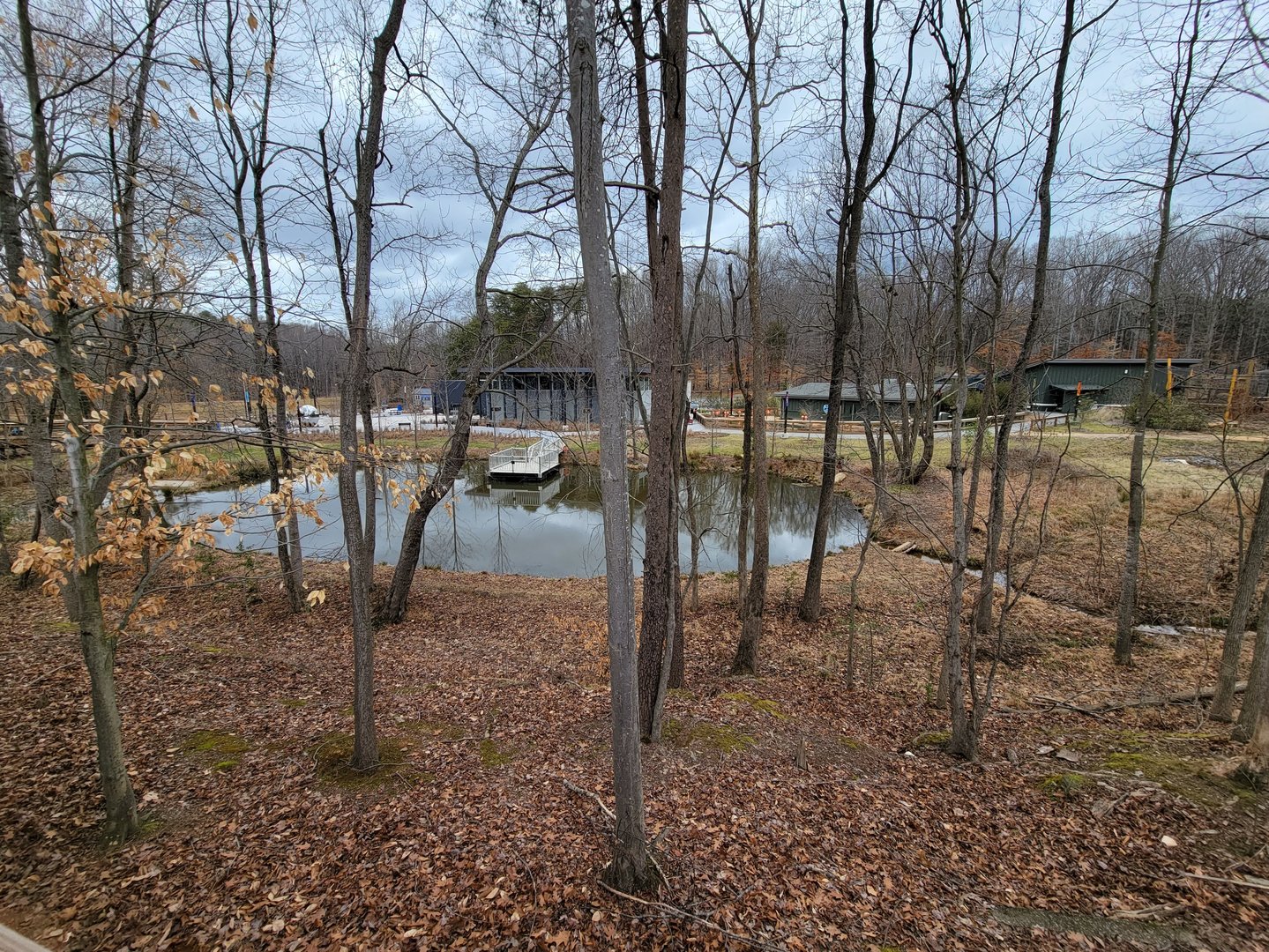 Greensboro 2/2023 - Pond in the middle of Revolution Ridge loop