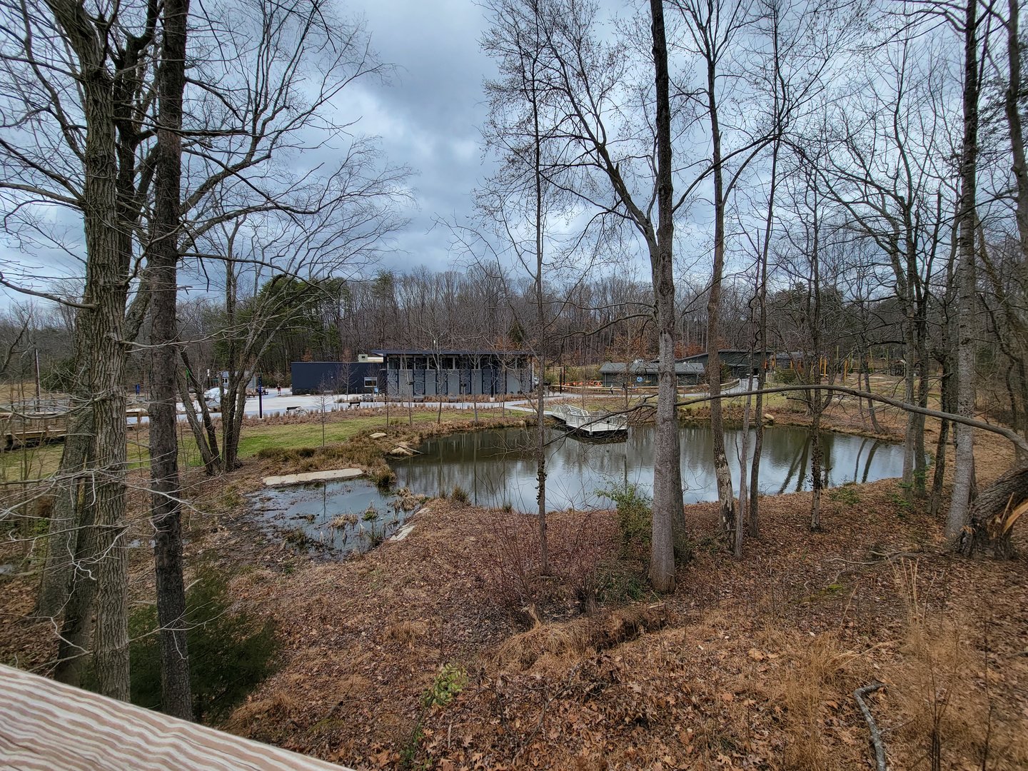 Greensboro 2/2023 - Pond, vet building