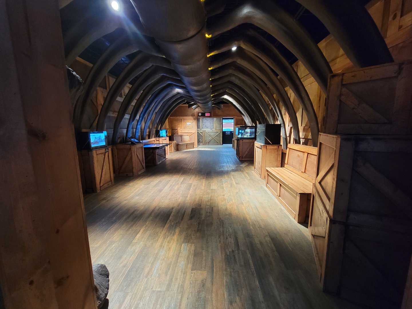 Greensboro 2/2023 - Prehistoric Passages, exit area, some stuff about birds