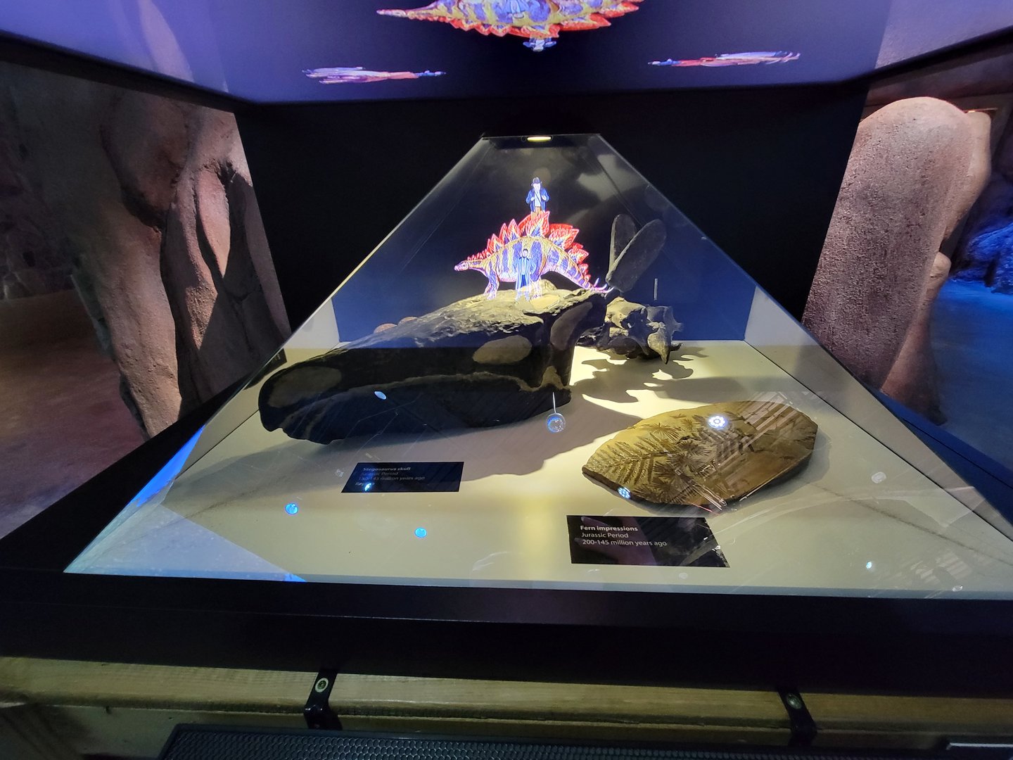 Greensboro 2/2023 - Prehistoric Passages, HOLOGRAMS