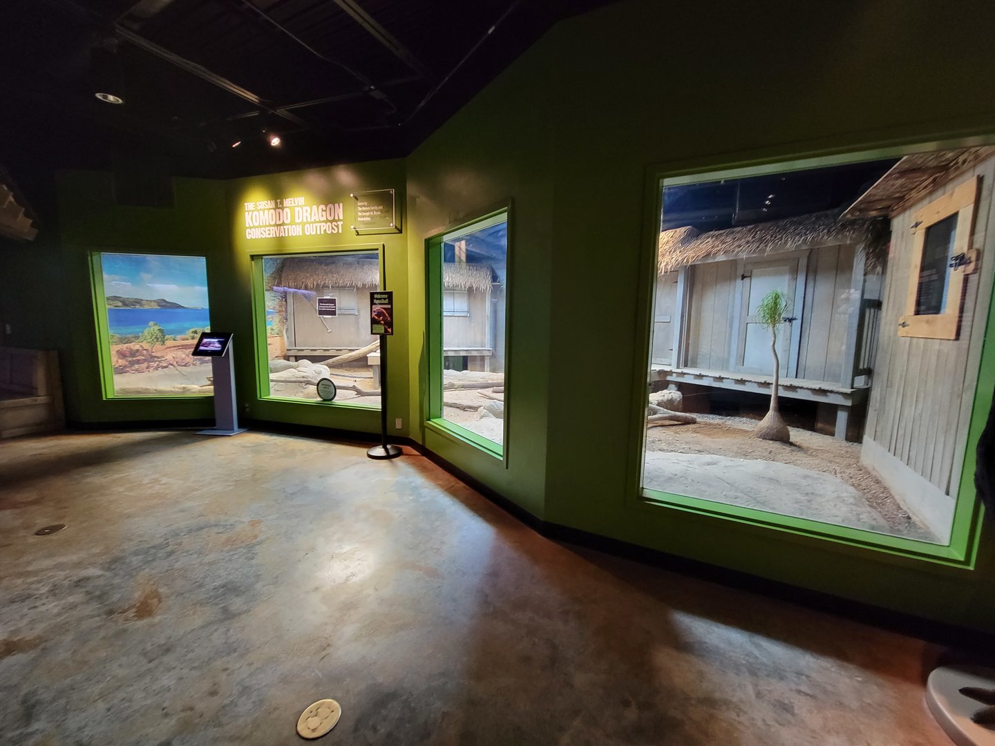 Greensboro 2/2023 - Prehistoric Passages, Komodo Dragon indoor area