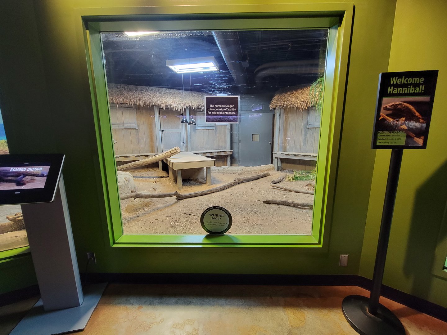 Greensboro 2/2023 - Prehistoric Passages, Komodo Dragon indoor area