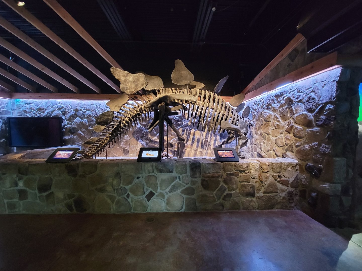 Greensboro 2/2023 - Prehistoric Passages, skeleton