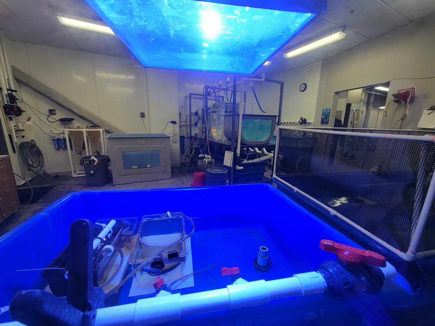 Greensboro 2/2023 - Propagation area