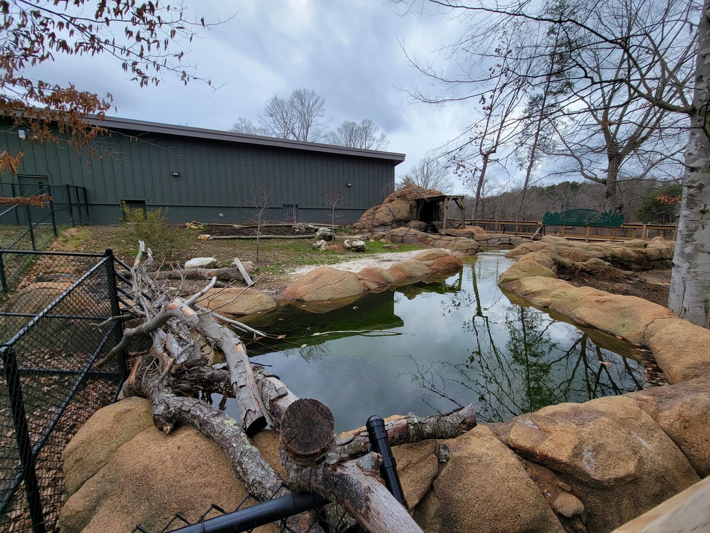 Greensboro 2/2023 - Pygmy hippo yard