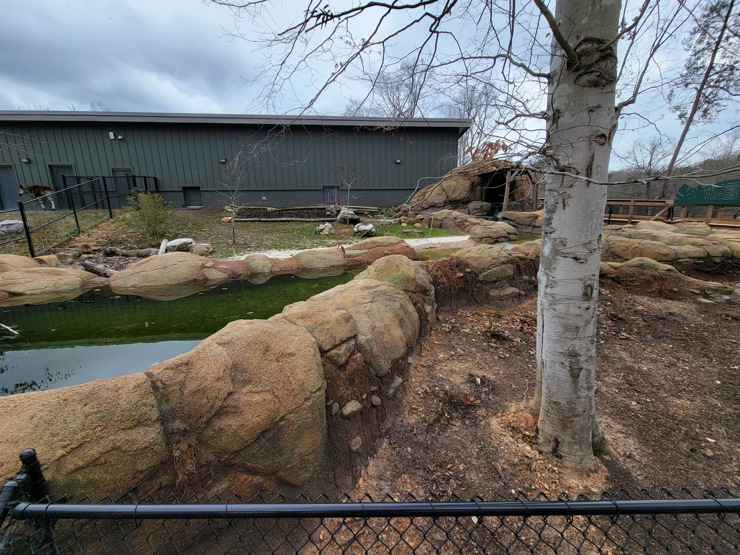 Greensboro 2/2023 - Pygmy hippo yard
