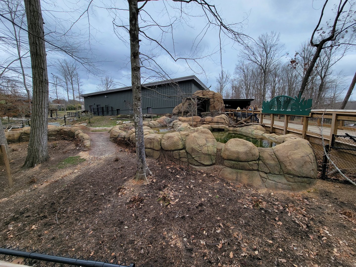 Greensboro 2/2023 - Pygmy hippo yard