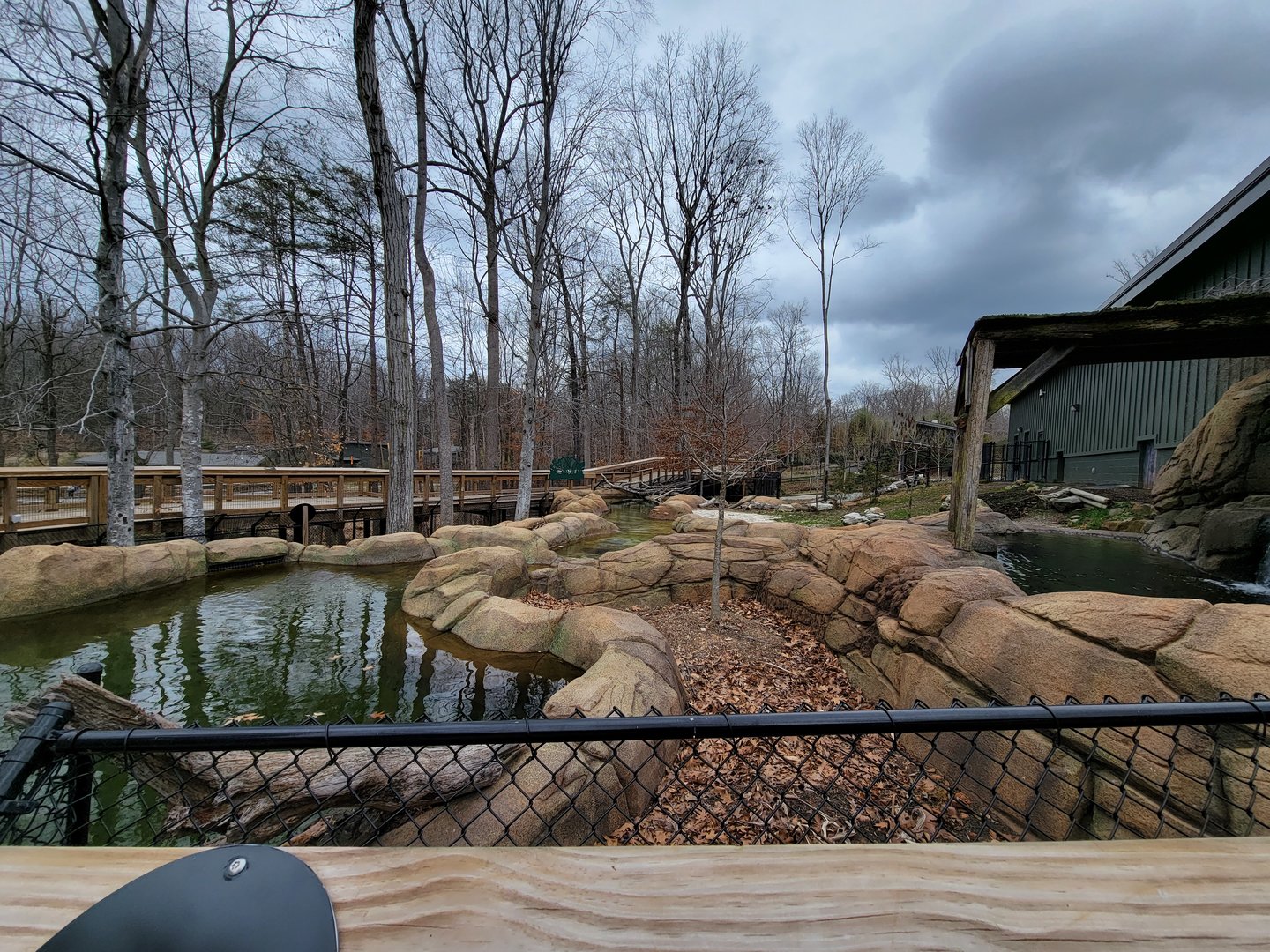 Greensboro 2/2023 - Pygmy hippo yard