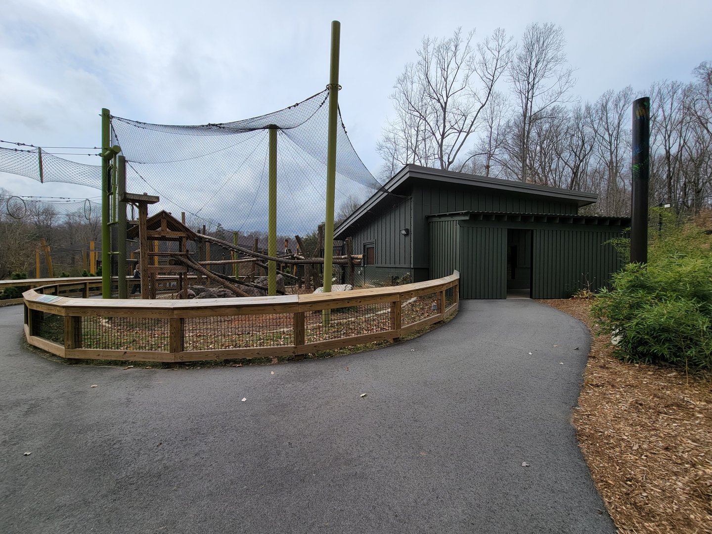 Greensboro 2/2023 - Red pandas, indoor viewing building