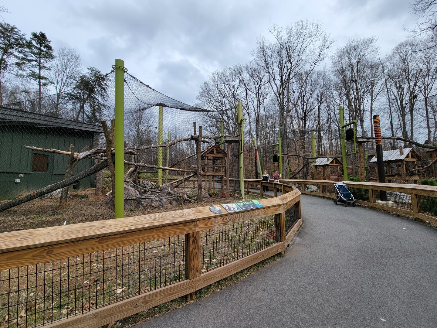 Greensboro 2/2023 - Red pandas