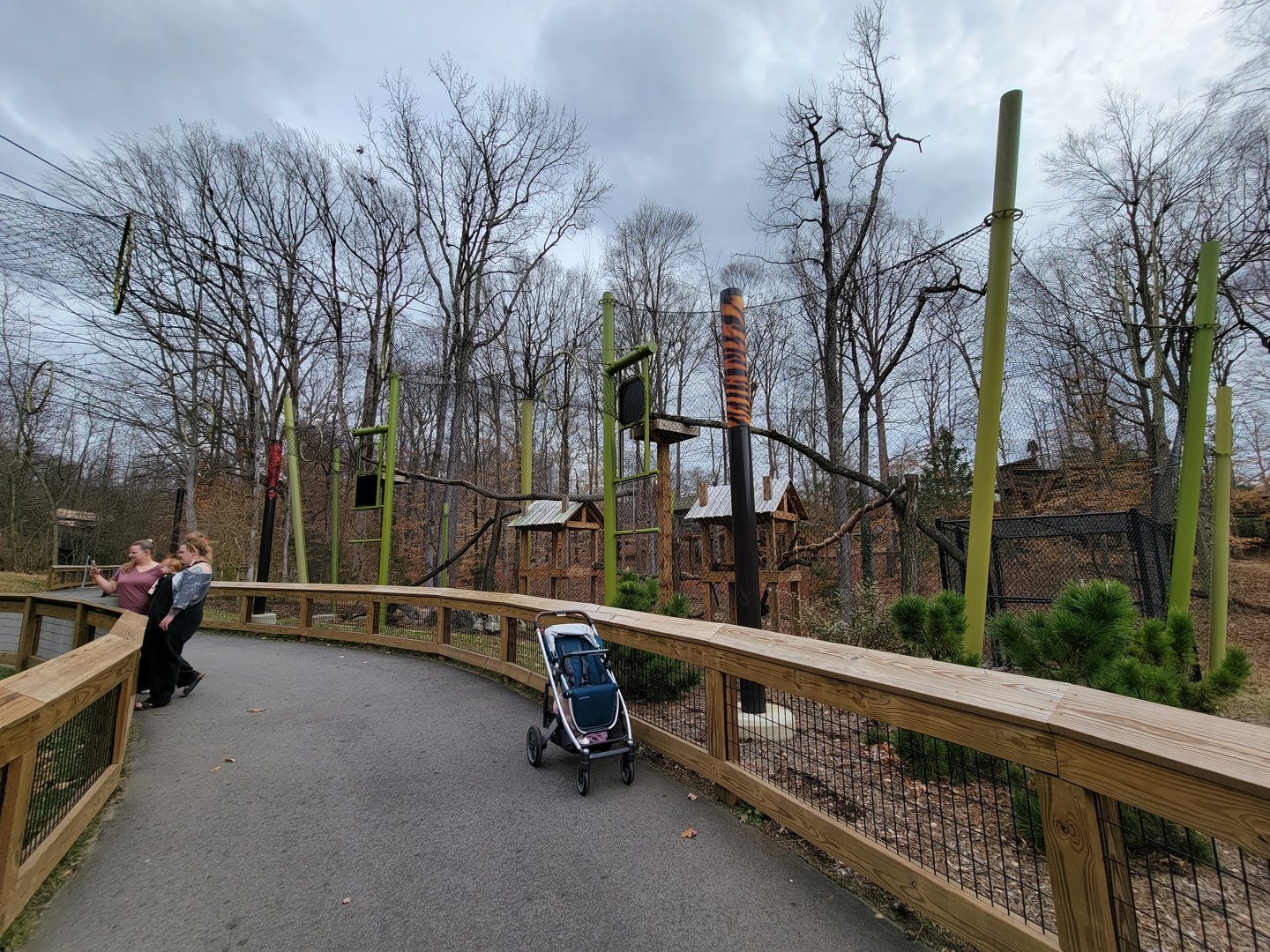 Greensboro 2/2023 - Red pandas