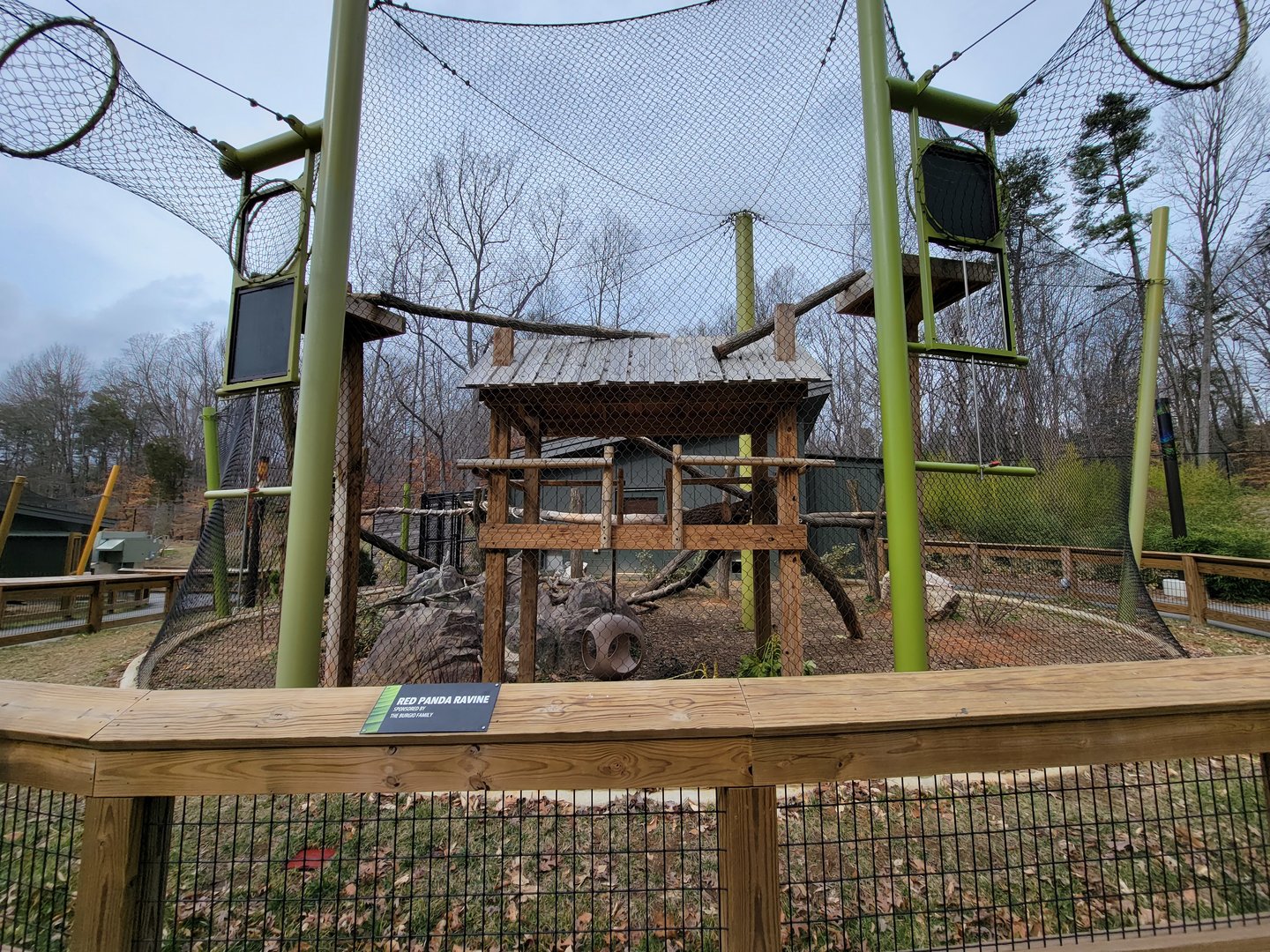 Greensboro 2/2023 - Red pandas