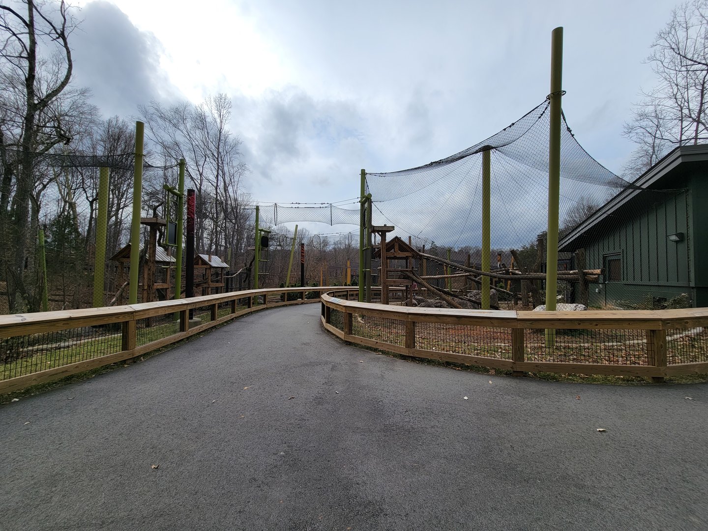 Greensboro 2/2023 - Red pandas