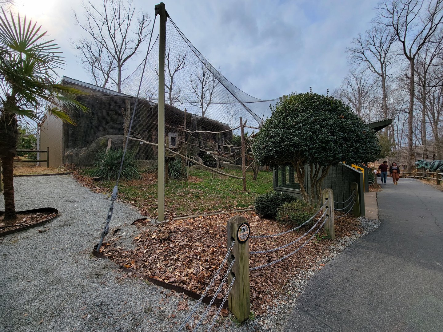 Greensboro 2/2023 - Ringtailed lemurs, red ruffed lemurs