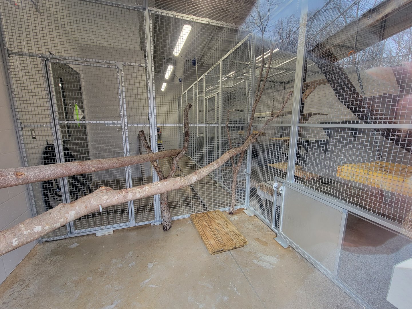 Greensboro 2/2023 - Serval indoor area