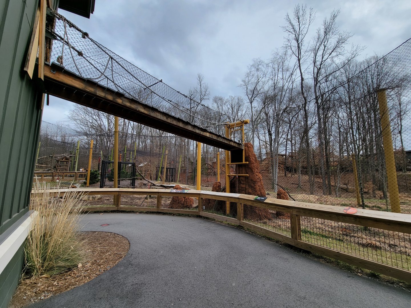 Greensboro 2/2023 - Serval yard