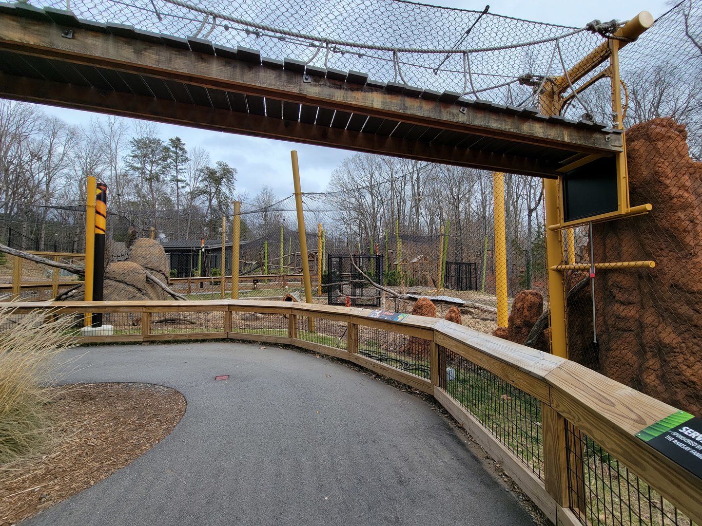 Greensboro 2/2023 - Serval yard