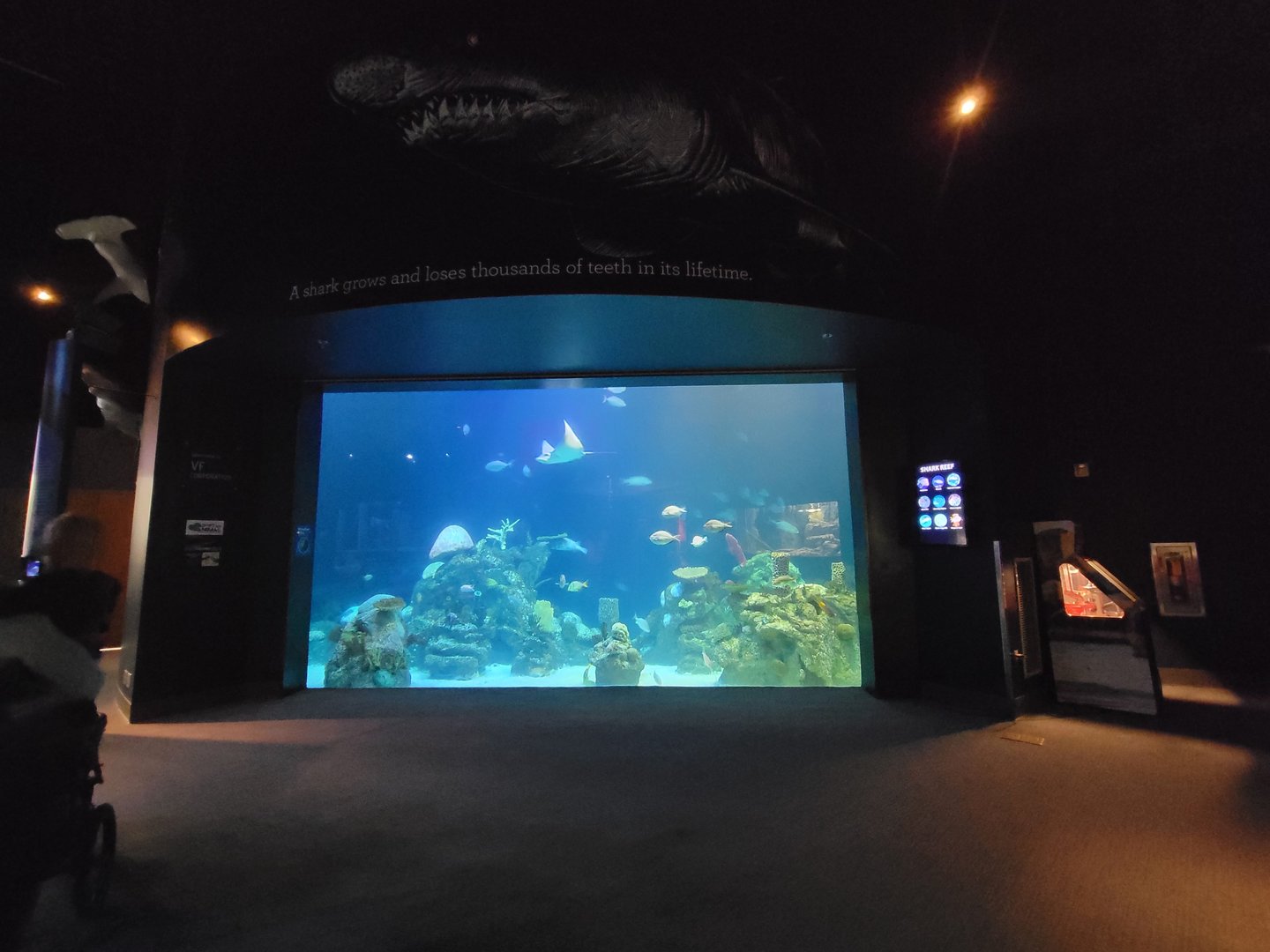 Greensboro 2/2023 - Shark Reef