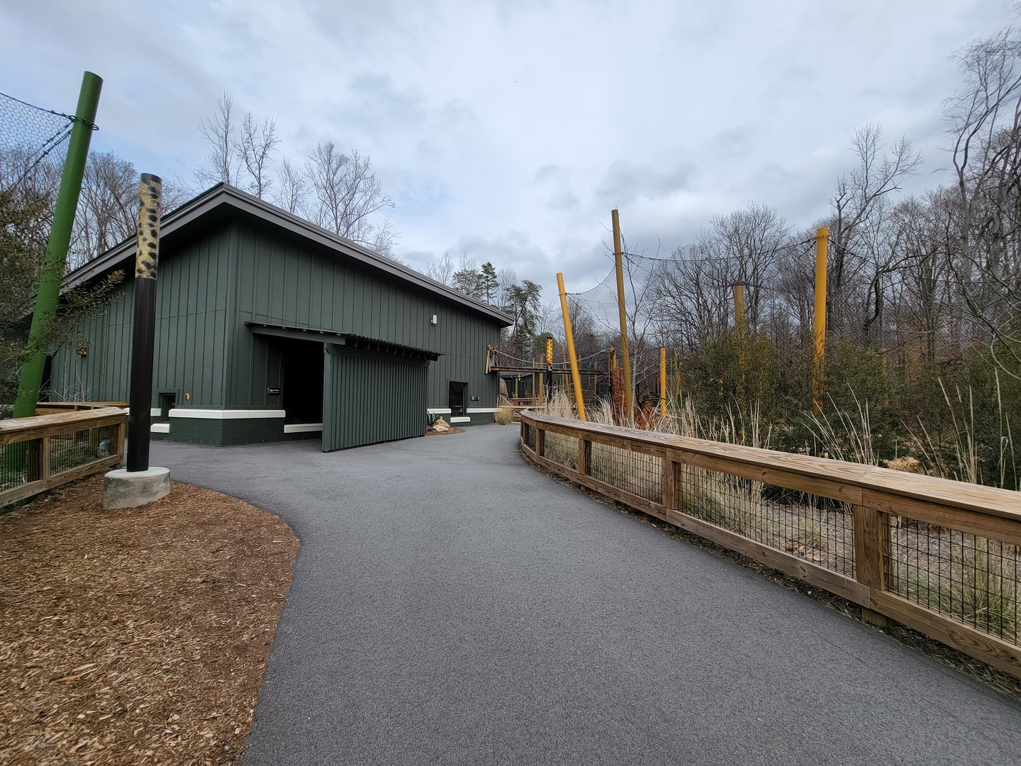 Greensboro 2/2023 - Small cat building