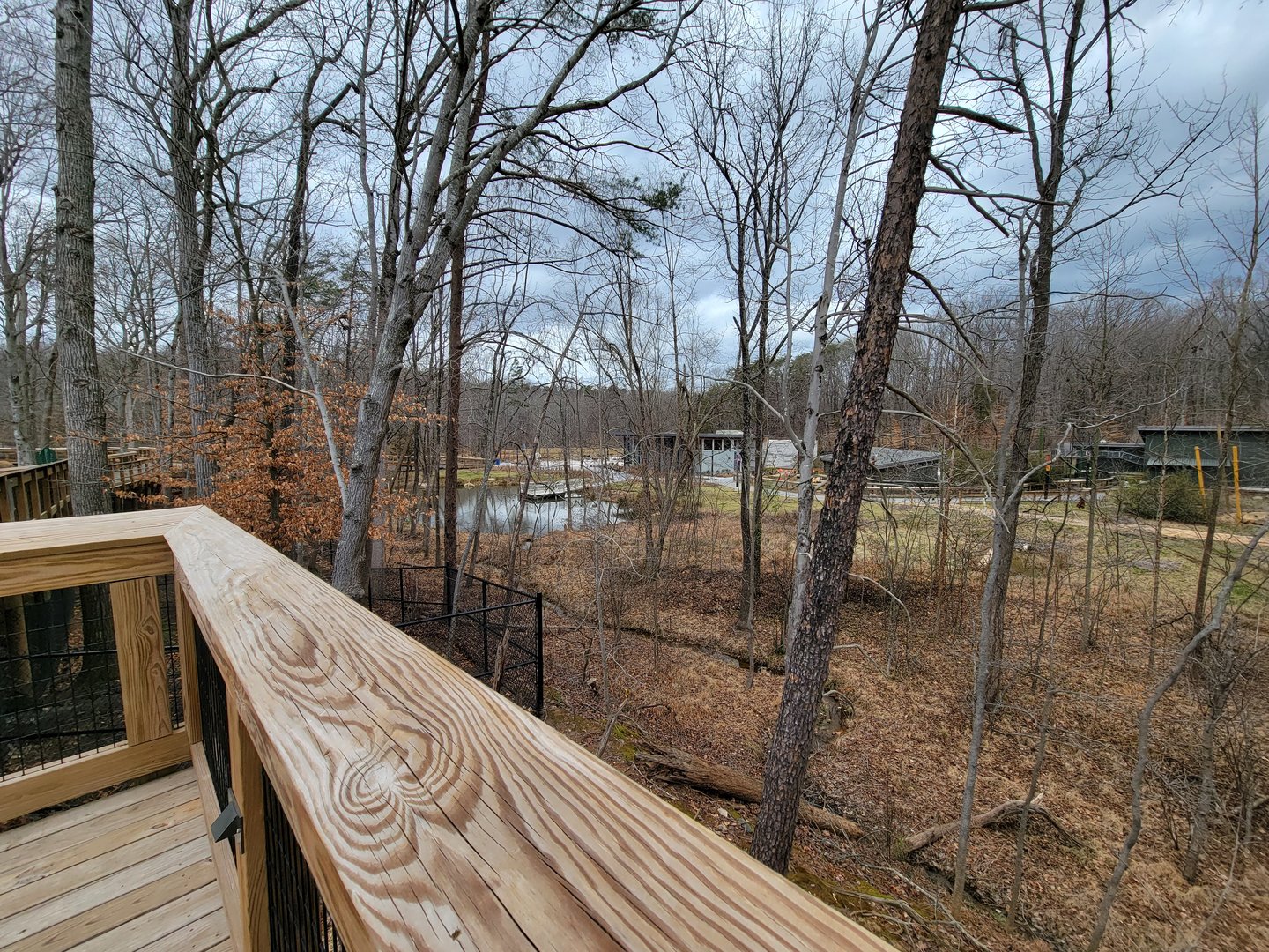 Greensboro 2/2023 - Space in the middle of Revolution Ridge loop