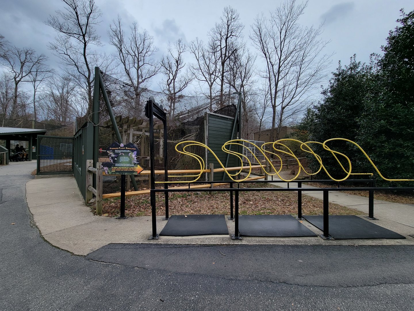 Greensboro 2/2023 - Trumpeter hornbill, forward flight simulator