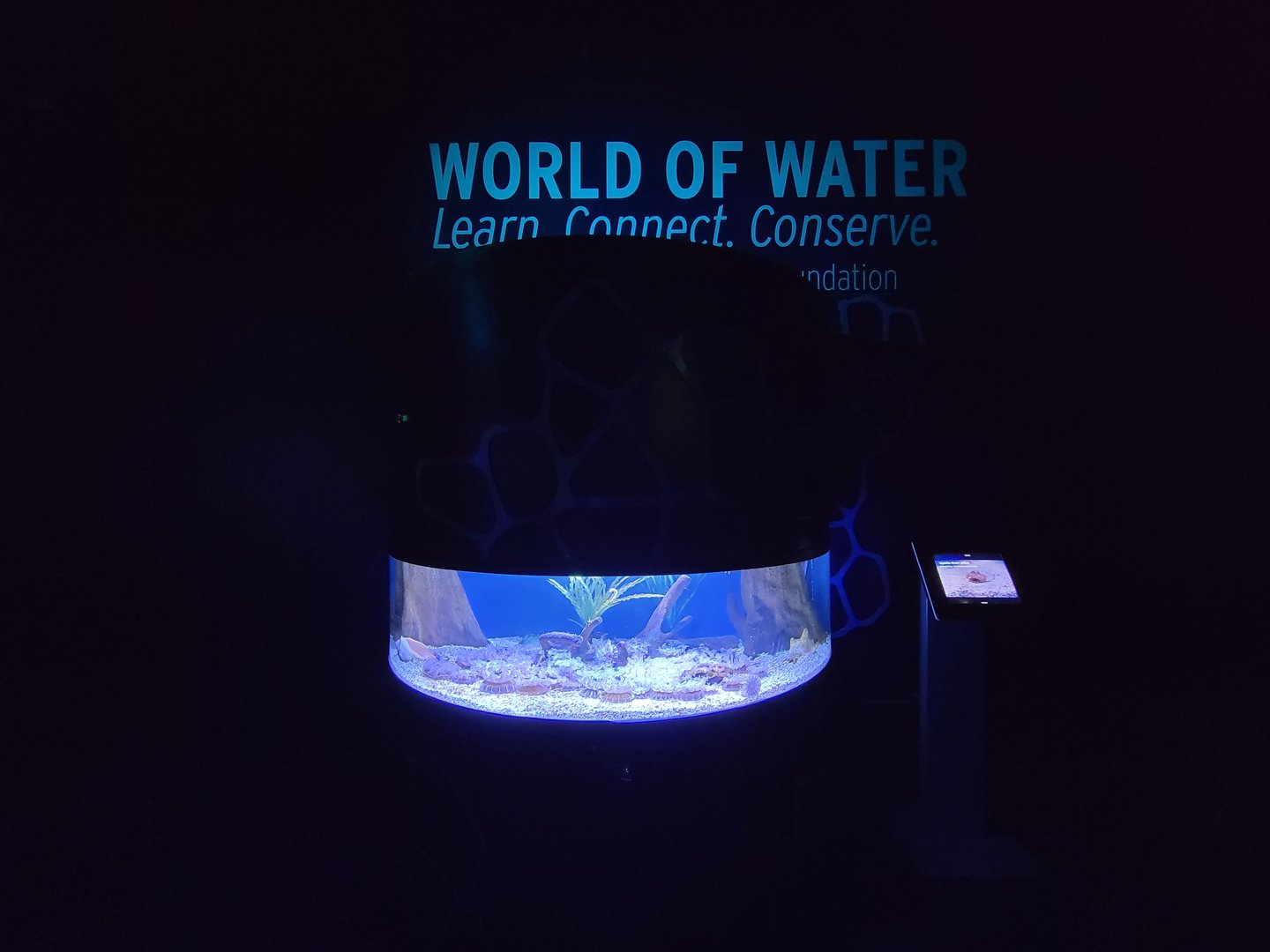 Greensboro 2/2023 - Upside down jellies