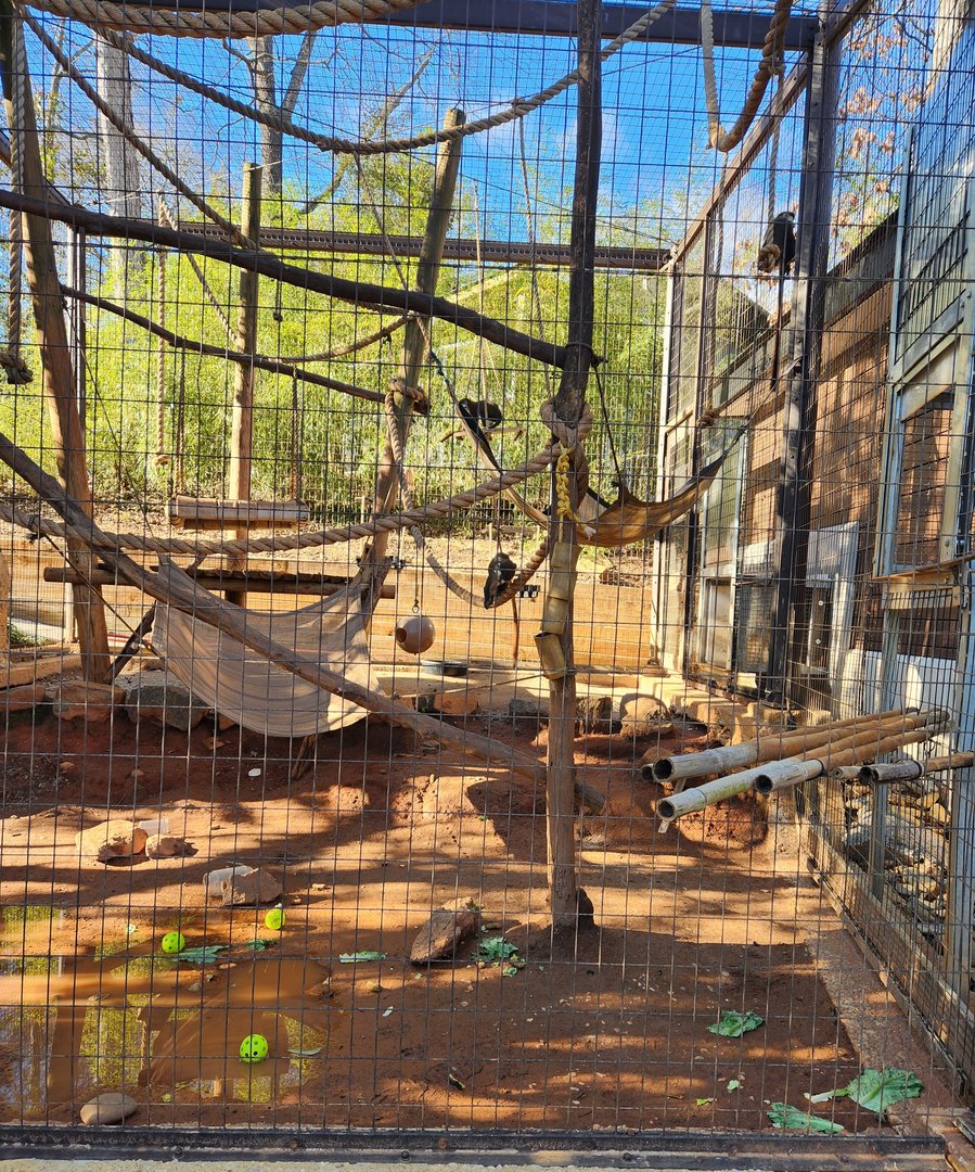 Greenville Zoo (2023) - Monkey enclosure example