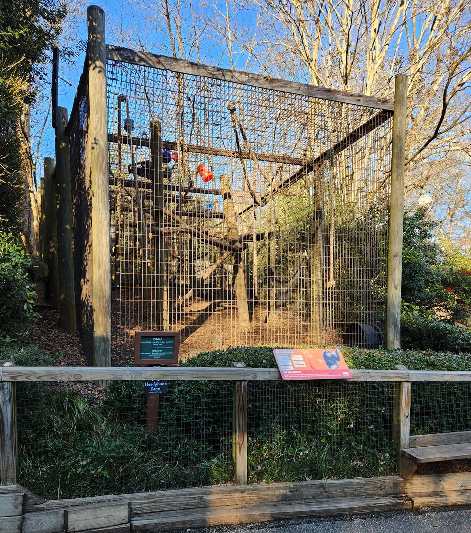 Greenville Zoo (2023) - Siamang enclosure