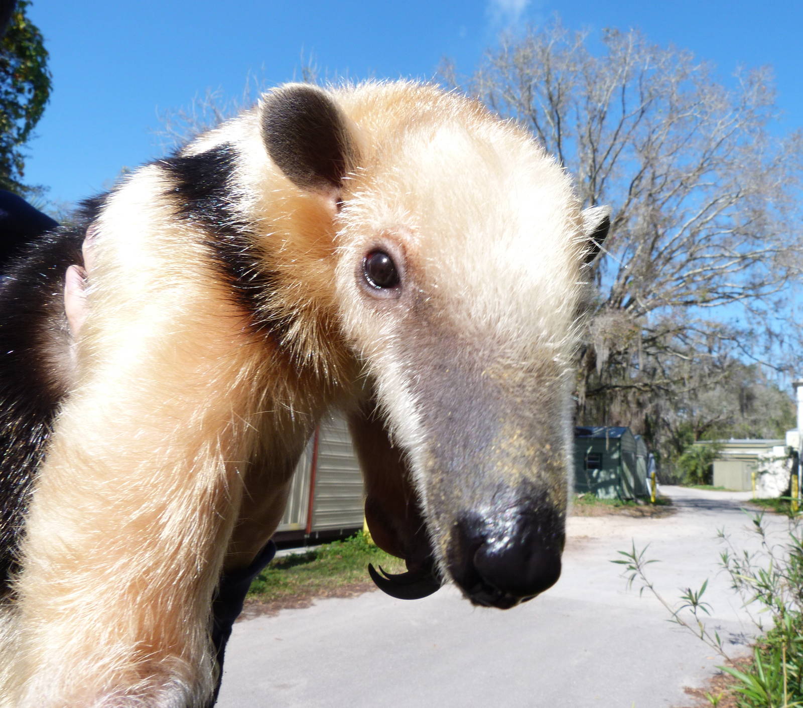 Greetings from Tampa