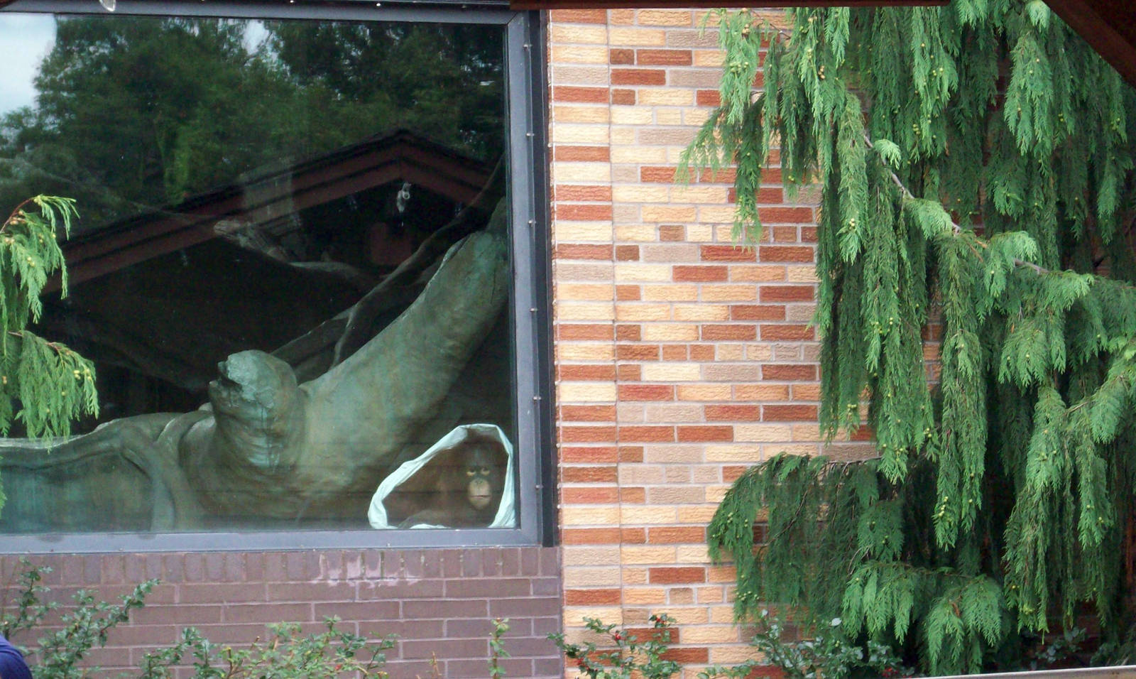 Greetings from the Inside