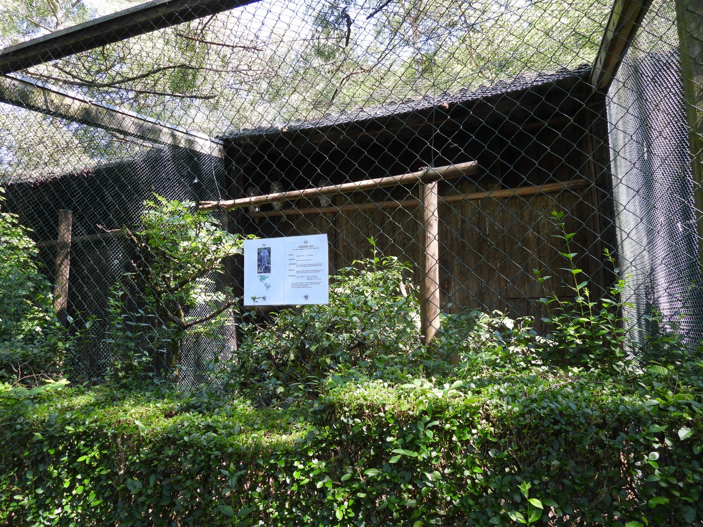 Greifvogelzuchtstation (Birds of prey breeding station) Hagenbachklamm - Eagle owl aviary