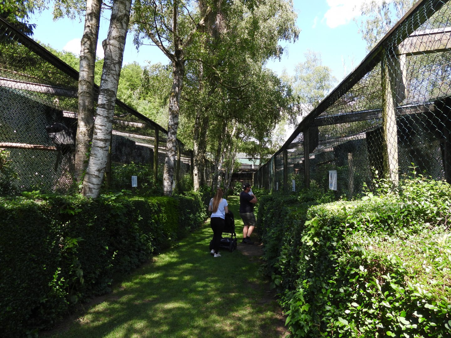 Greifvogelzuchtstation (Birds of prey breeding station) Hagenbachklamm