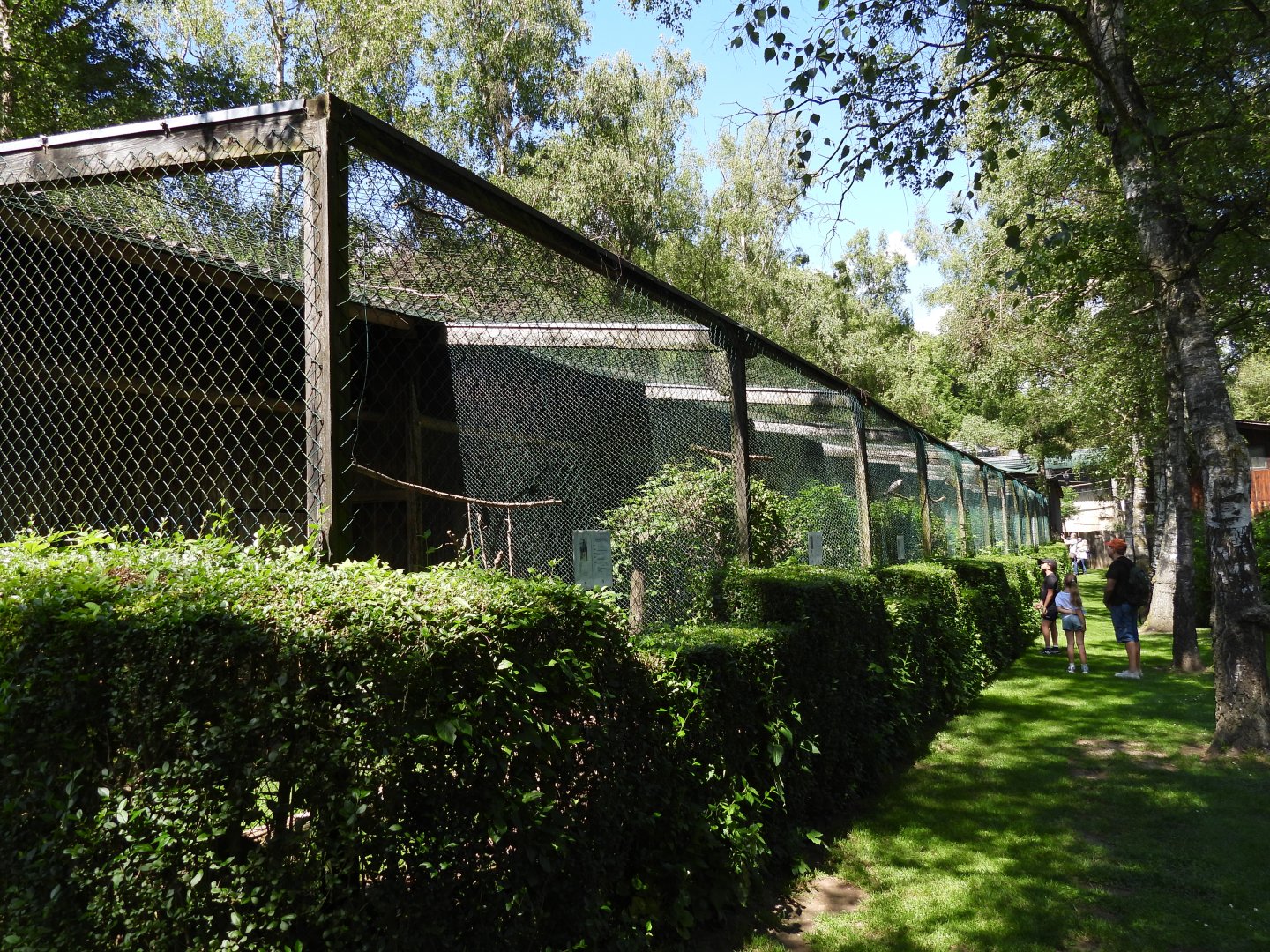 Greifvogelzuchtstation (Birds of prey breeding station) Hagenbachklamm