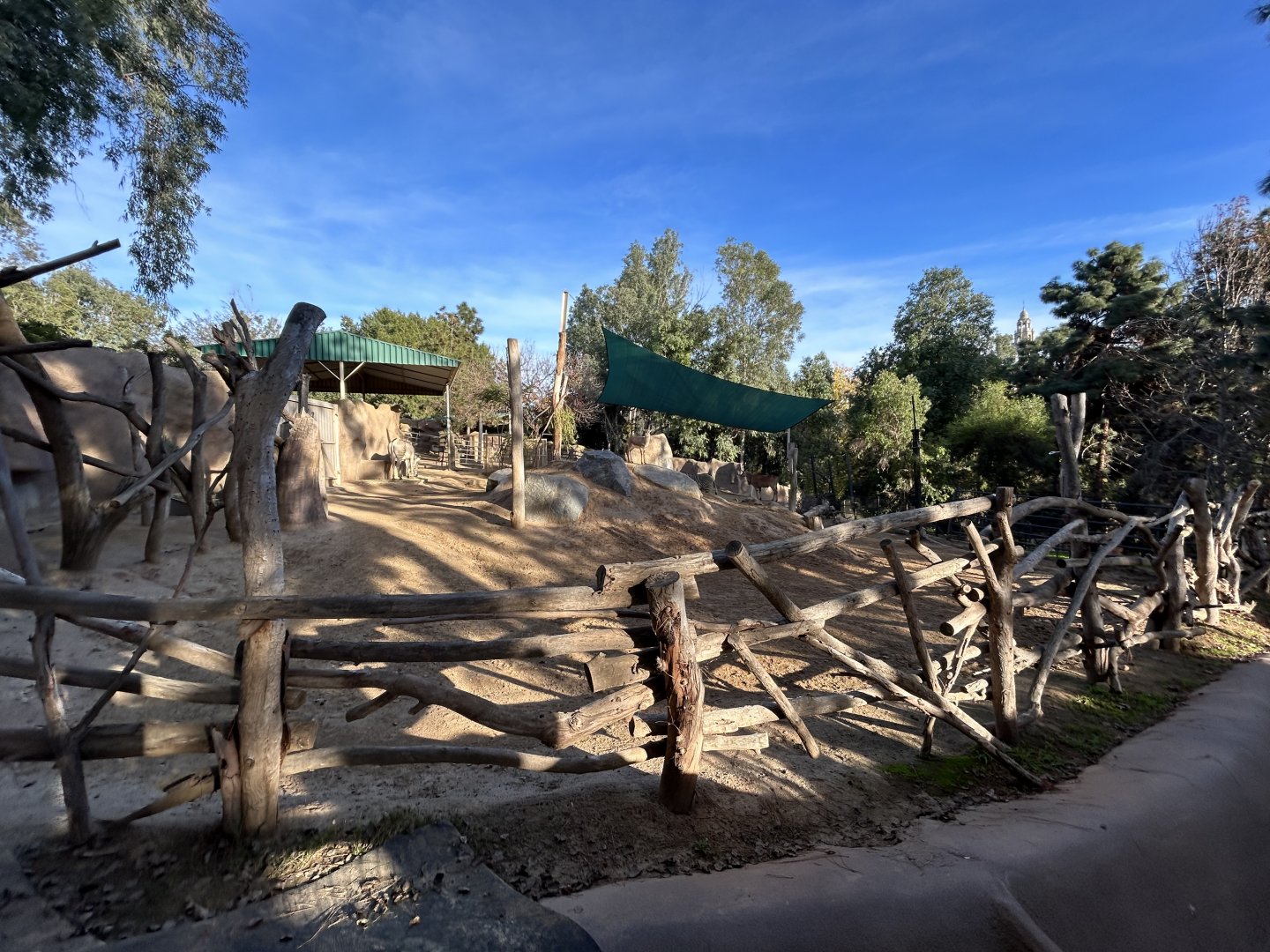 Grevy’s Zebra & Common Eland Exhibit