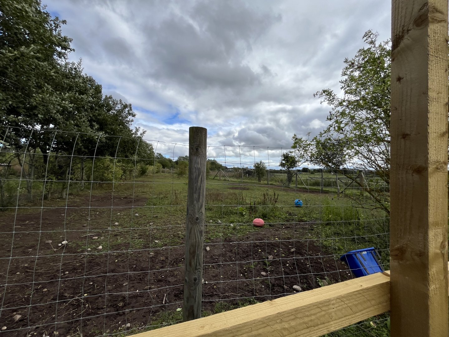 Grevy’s zebra enclosure 1.9.25