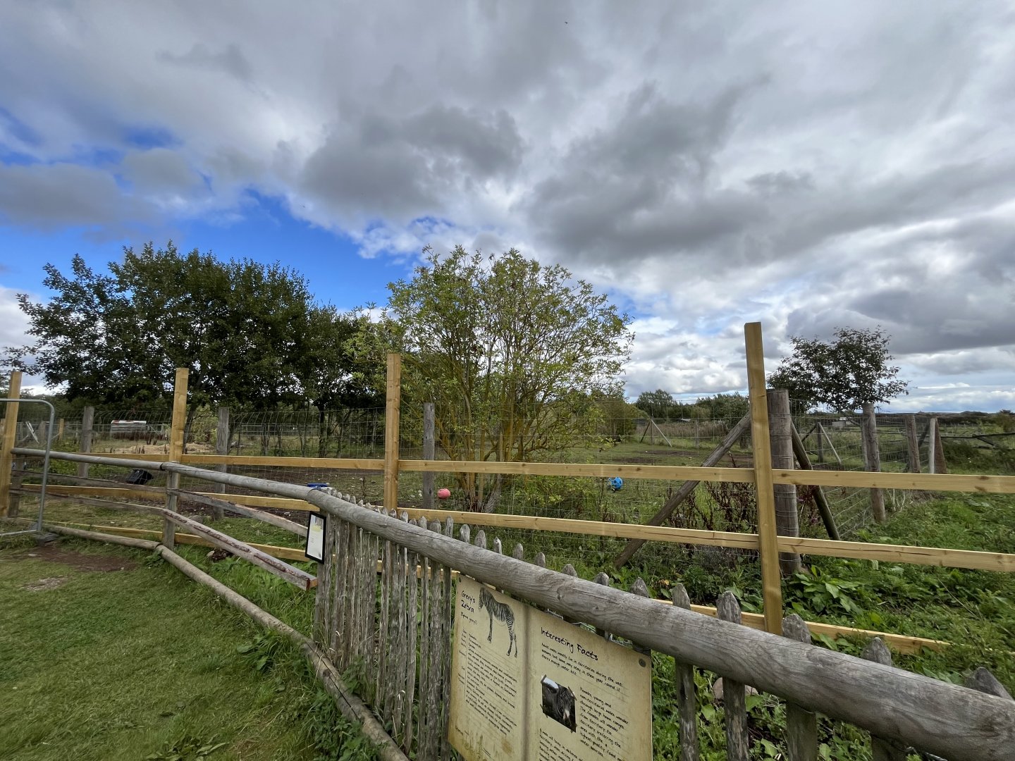 Grevy’s zebra enclosure 1.9.25