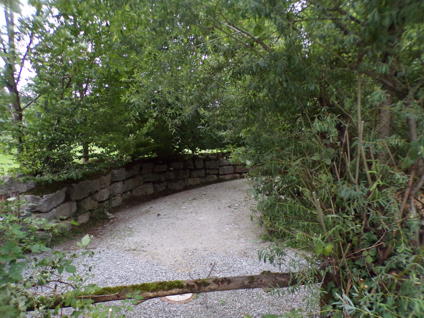 Grevy’s zebra enclosure 13.7.25