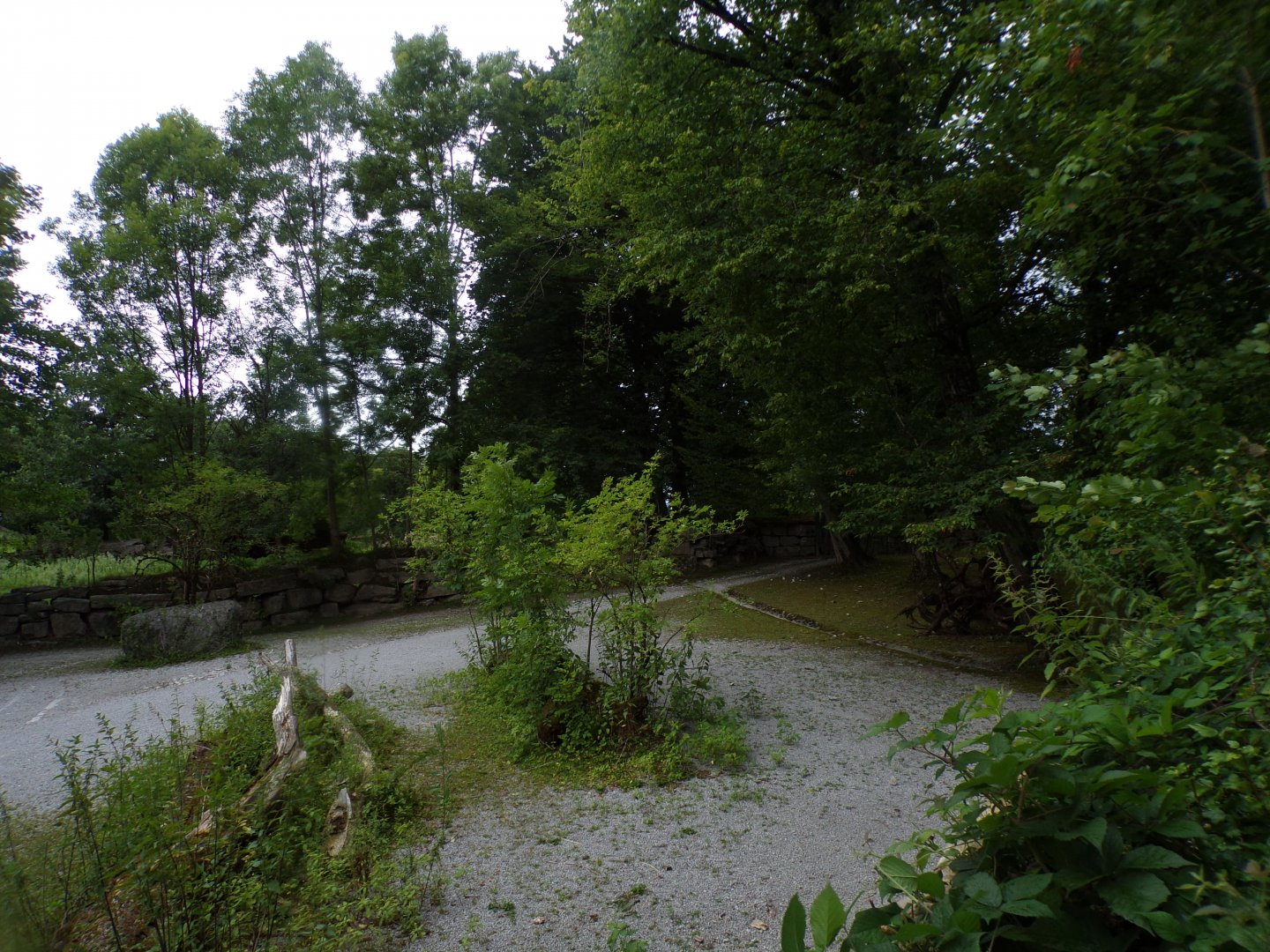 Grevy’s zebra enclosure 13.7.25